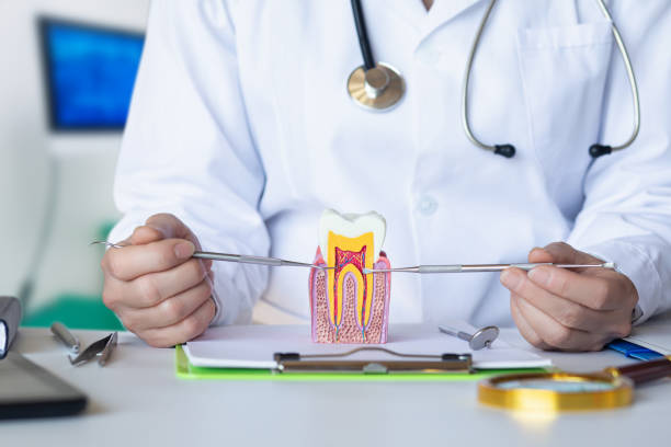 Best Cosmetic Emergency Dentistry in Locust Fork, AL